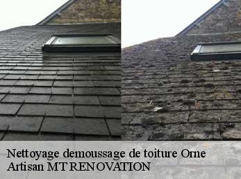 Nettoyage demoussage de toiture 61 Orne  Artisan MT RENOVATION