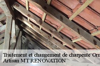 Traitement et changement de charpente 61 Orne  Artisan MT RENOVATION