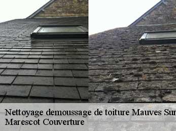 Nettoyage demoussage de toiture  mauves-sur-huisne-61400 Marescot Couverture