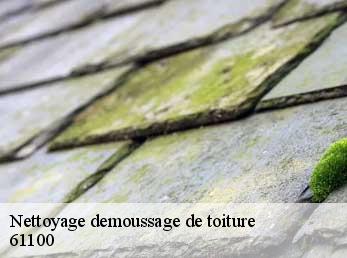 Nettoyage demoussage de toiture  61100