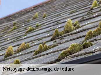 Nettoyage demoussage de toiture