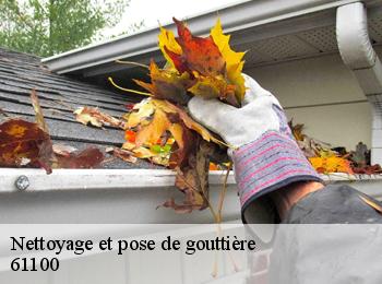 Nettoyage et pose de gouttière  61100