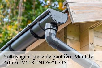 Nettoyage et pose de gouttière  mantilly-61350 Artisan MT RENOVATION