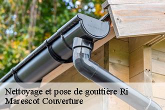 Nettoyage et pose de gouttière  ri-61210 Marescot Couverture