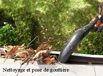 Nettoyage et pose de gouttière