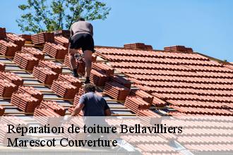 Réparation de toiture  bellavilliers-61360 Marescot Couverture