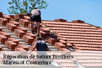 Réparation de toiture  bivilliers-61190 Marescot Couverture