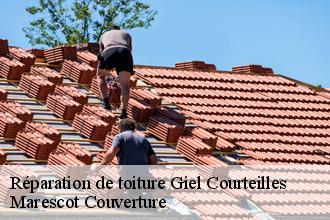 Réparation de toiture  giel-courteilles-61210 Marescot Couverture