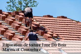 Réparation de toiture  joue-du-bois-61320 Marescot Couverture