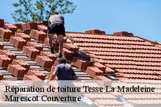 Réparation de toiture  tesse-la-madeleine-61140 Marescot Couverture