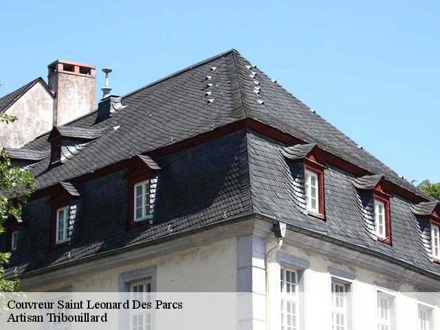 Couvreur  saint-leonard-des-parcs-61390 Artisan Tribouillard