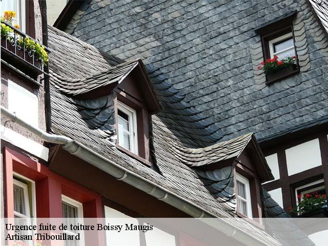 Urgence fuite de toiture  boissy-maugis-61110 Artisan Tribouillard