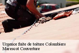 Urgence fuite de toiture  colombiers-61250 Marescot Couverture