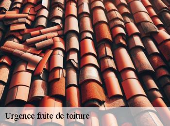 Urgence fuite de toiture