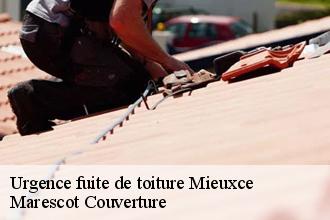 Urgence fuite de toiture  mieuxce-61250 Marescot Couverture