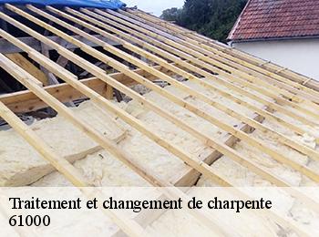 Traitement et changement de charpente  61000