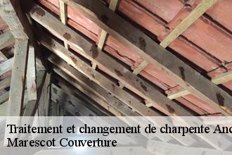 Traitement et changement de charpente  anceins-61550 Marescot Couverture