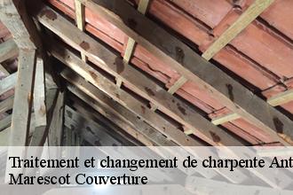 Traitement et changement de charpente  antoigny-61410 Marescot Couverture