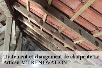 Traitement et changement de charpente  la-chapelle-d-andaine-61140 Artisan MT RENOVATION