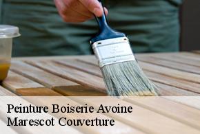 Peinture Boiserie  avoine-61150 Marescot Couverture