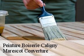 Peinture Boiserie  caligny-61100 Marescot Couverture