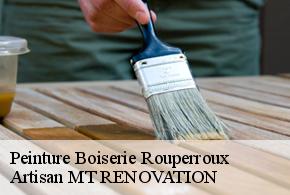 Peinture Boiserie  rouperroux-61320 Artisan MT RENOVATION