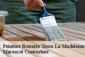 Peinture Boiserie  tesse-la-madeleine-61140 Marescot Couverture