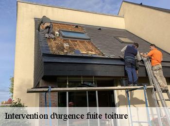 Intervention d'urgence fuite toiture 