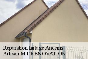 Réparation faitage  anceins-61550 Artisan MT RENOVATION