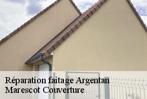 Réparation faitage  argentan-61200 Marescot Couverture