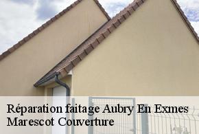 Réparation faitage  aubry-en-exmes-61160 Marescot Couverture