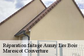 Réparation faitage  aunay-les-bois-61500 Marescot Couverture