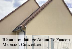 Réparation faitage  aunou-le-faucon-61200 Marescot Couverture