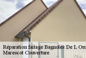 Réparation faitage  bagnoles-de-l-orne-61140 Marescot Couverture