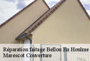 Réparation faitage  bellou-en-houlme-61220 Marescot Couverture