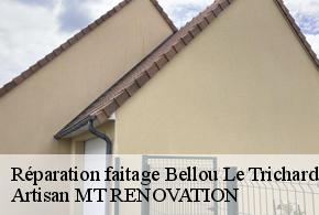 Réparation faitage  bellou-le-trichard-61130 Artisan MT RENOVATION