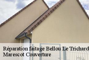 Réparation faitage  bellou-le-trichard-61130 Marescot Couverture