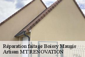 Réparation faitage  boissy-maugis-61110 Artisan MT RENOVATION