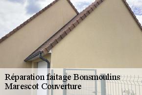 Réparation faitage  bonsmoulins-61380 Marescot Couverture