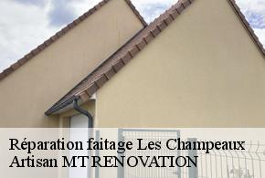 Réparation faitage  les-champeaux-61120 Artisan MT RENOVATION