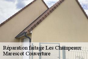 Réparation faitage  les-champeaux-61120 Marescot Couverture