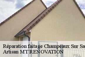 Réparation faitage  champeaux-sur-sarthe-61560 Artisan MT RENOVATION