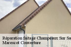 Réparation faitage  champeaux-sur-sarthe-61560 Marescot Couverture