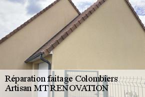 Réparation faitage  colombiers-61250 Artisan MT RENOVATION