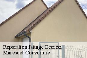 Réparation faitage  ecorcei-61270 Marescot Couverture