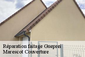 Réparation faitage  gueprei-61160 Marescot Couverture