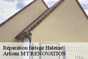 Réparation faitage  haleine-61410 Artisan MT RENOVATION