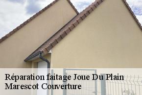 Réparation faitage  joue-du-plain-61150 Marescot Couverture