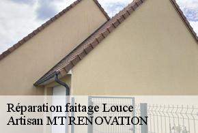 Réparation faitage  louce-61150 Artisan MT RENOVATION