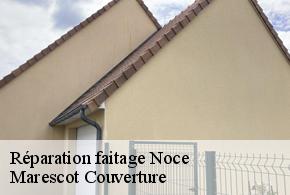 Réparation faitage  noce-61340 Marescot Couverture